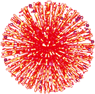 hanabi