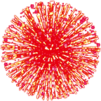 hanabi